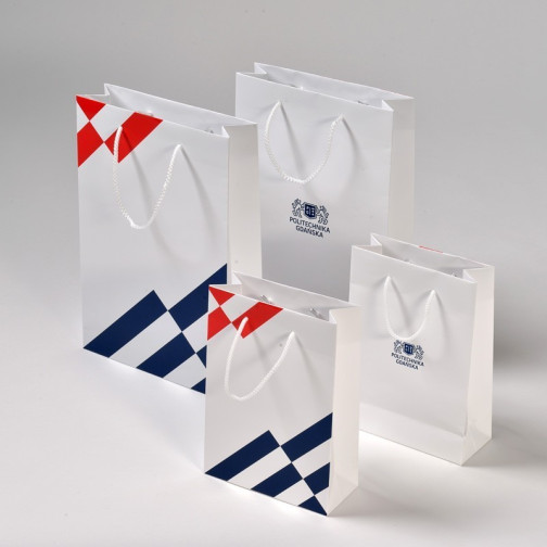 big paper gift bag