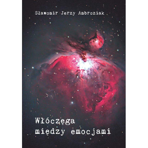 Ambroziak S.J., Włóczęga między emocjami